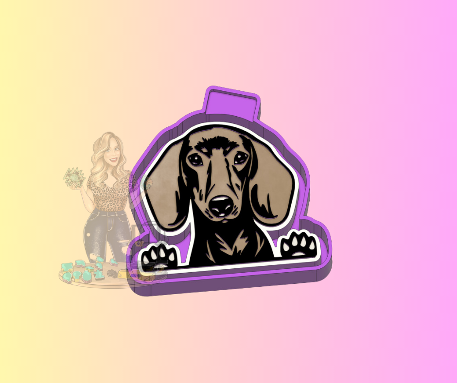 BOY DACHSHUND