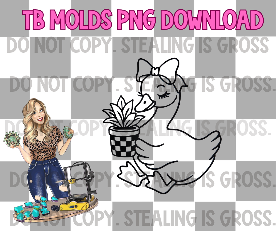 Succulent goose PNG