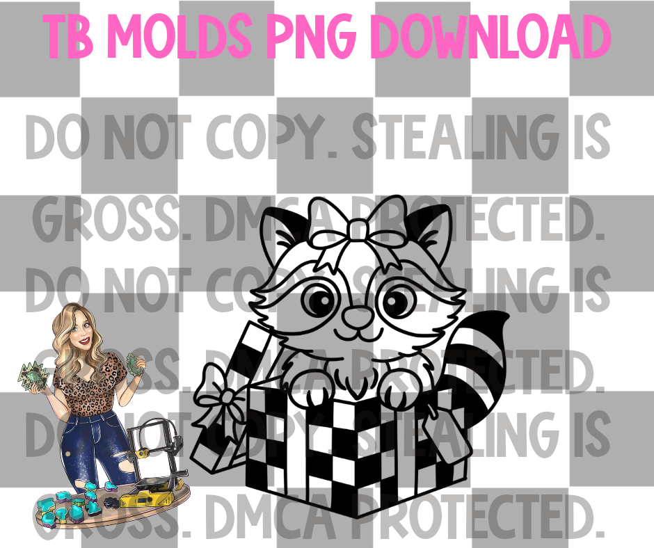 Raccoon in gift box PNG