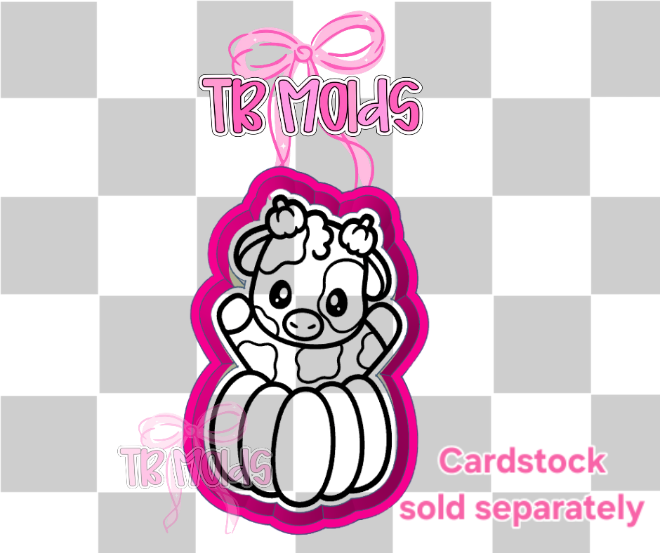 Cutie pumpkin cow