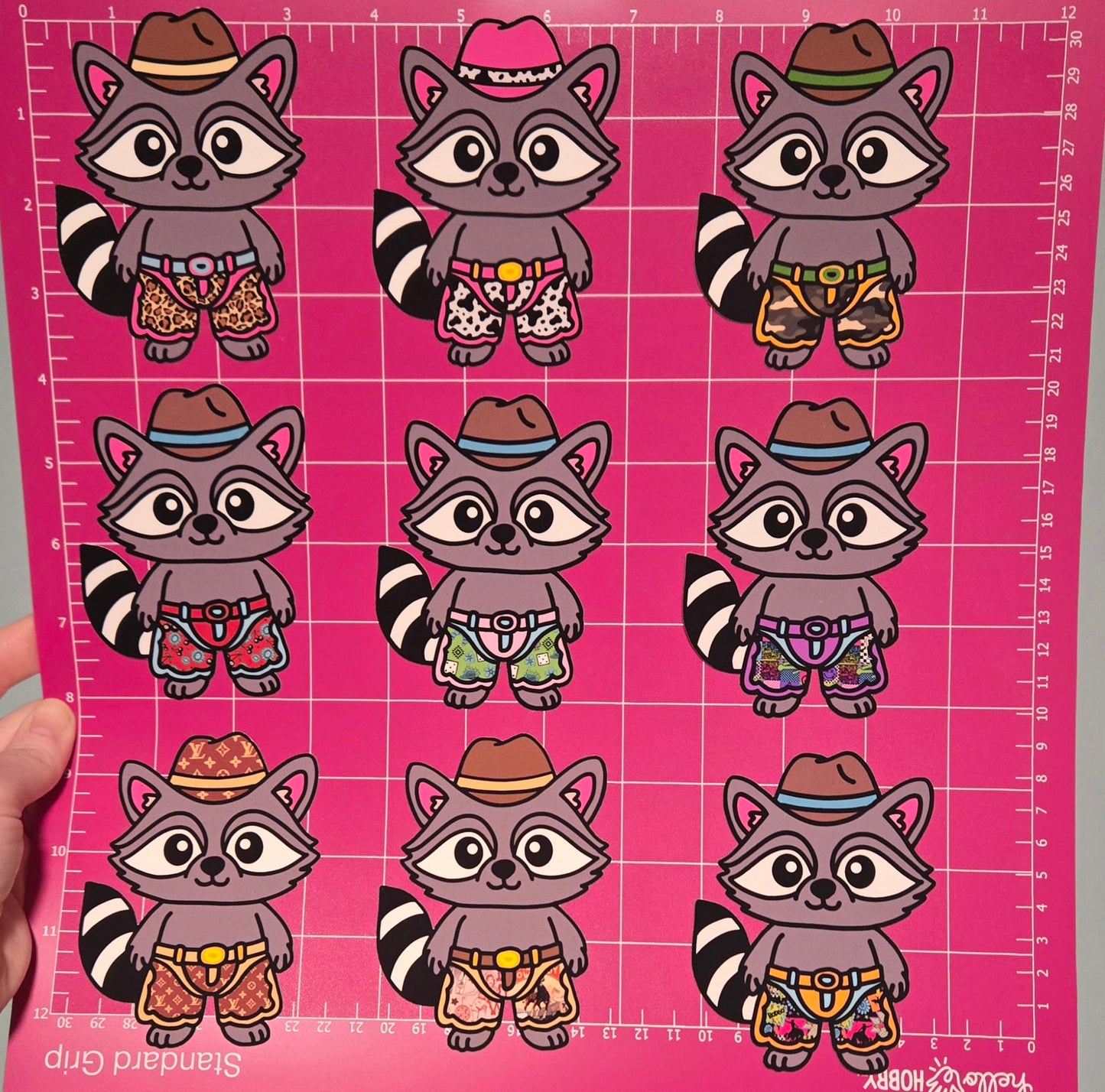 Cowboy raccoon TB MOLDS mixed grab bag cardstock