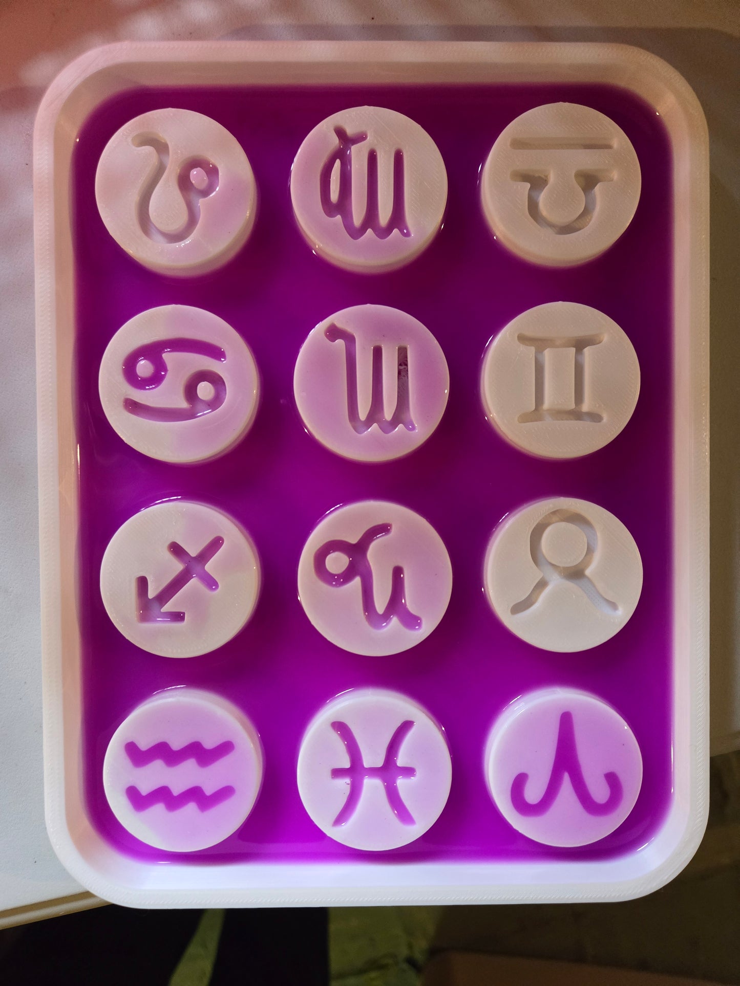 Horoscope wax melt mold