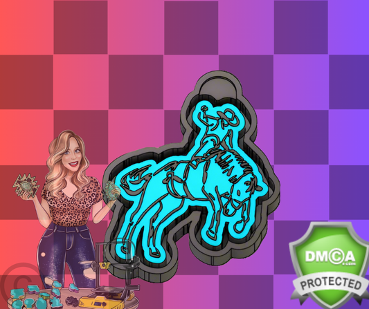 Cowboy rodeo rider