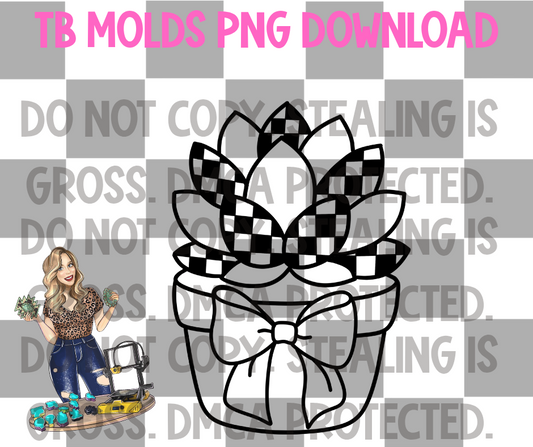 Checkered Succulent with bow PNG