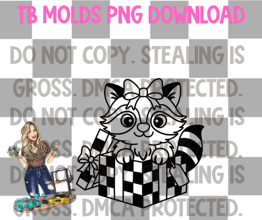 Raccoon in gift box PNG
