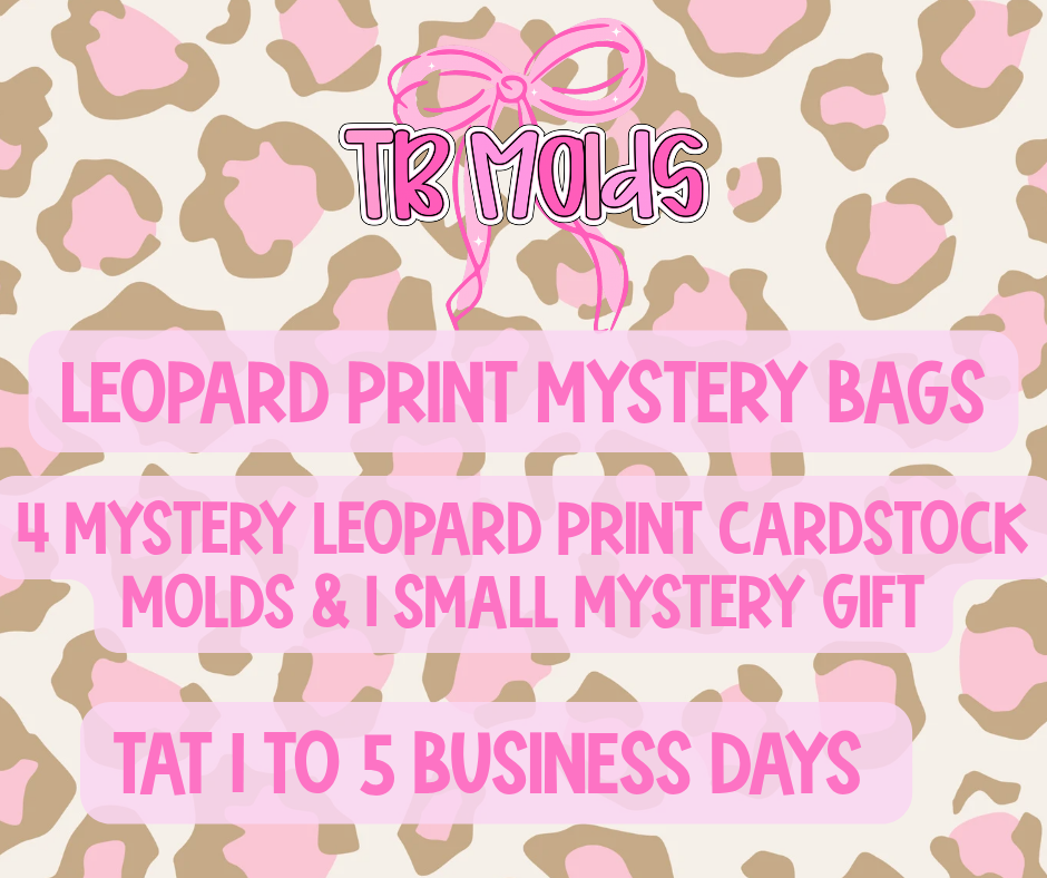 Leopard Print Mystery Bag