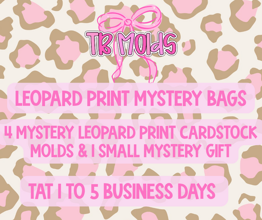 Leopard Print Mystery Bag