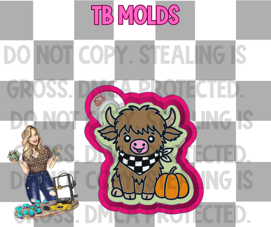 Highland cow with pumpkin